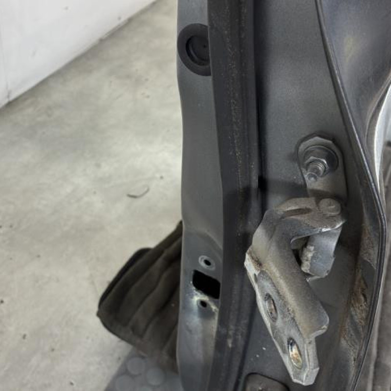 Porte avant gauche NISSAN JUKE 1 Photo n°2