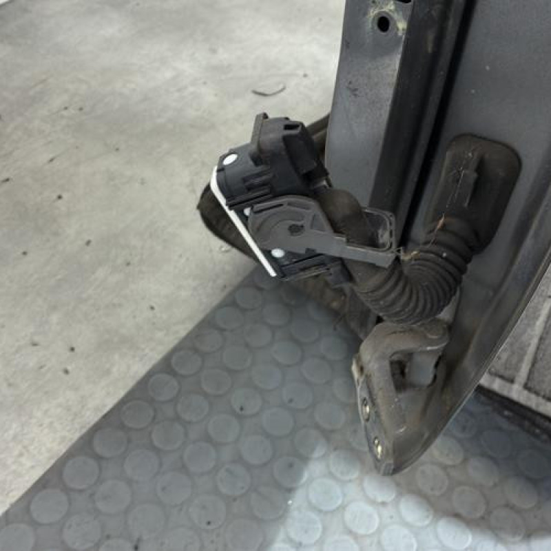 Porte avant gauche NISSAN JUKE 1 Photo n°3