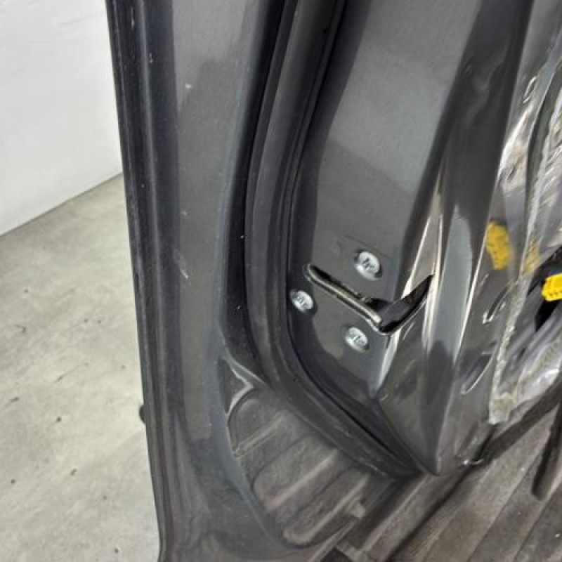 Porte avant gauche NISSAN JUKE 1 Photo n°4