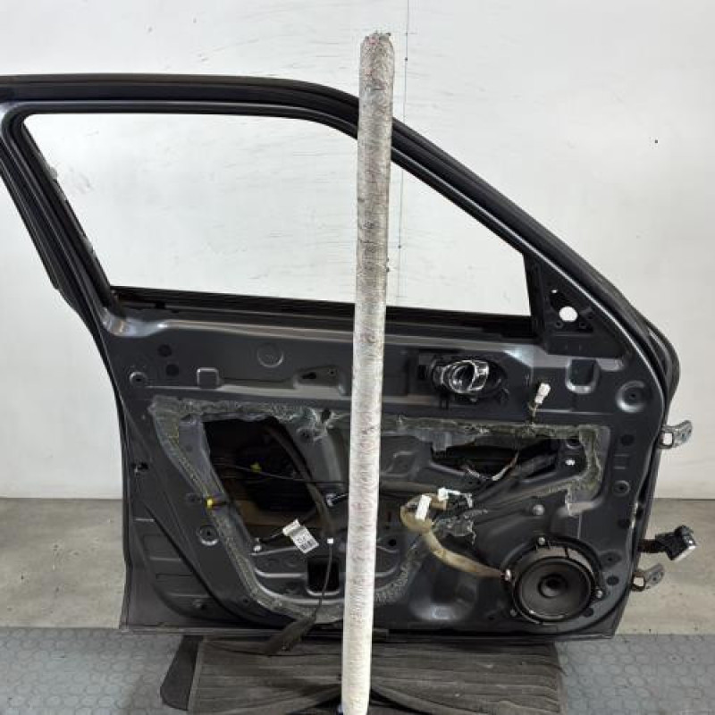 Porte avant gauche NISSAN JUKE 1 Photo n°5