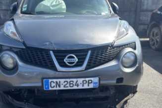 Antenne NISSAN JUKE 1