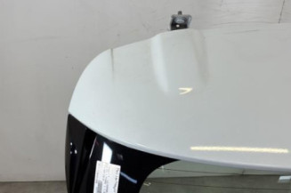 Malle/Hayon arriere RENAULT CLIO 4