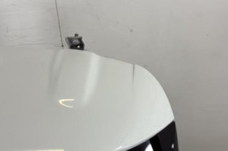 Malle/Hayon arriere RENAULT CLIO 4