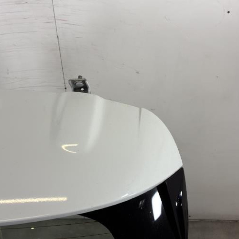 Malle/Hayon arriere RENAULT CLIO 4 Photo n°3