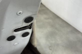 Porte arriere gauche RENAULT CLIO 4