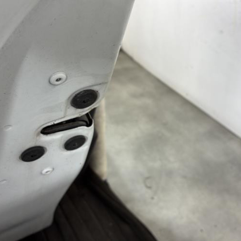 Porte arriere gauche RENAULT CLIO 4 Photo n°3