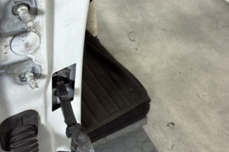 Porte avant droit RENAULT CLIO 4