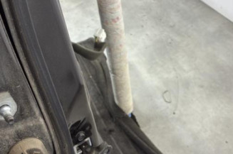 Porte arriere droit NISSAN JUKE 1