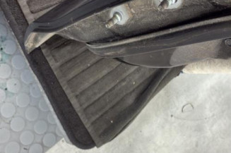 Porte arriere droit NISSAN JUKE 1