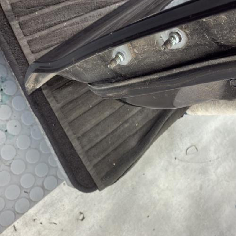 Porte arriere droit NISSAN JUKE 1 Photo n°3