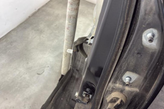 Porte arriere gauche NISSAN JUKE 1