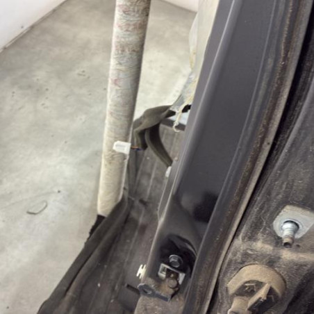 Porte arriere gauche NISSAN JUKE 1