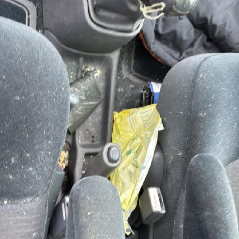 Serrure avant gauche RENAULT ESPACE 3 Photo n°20