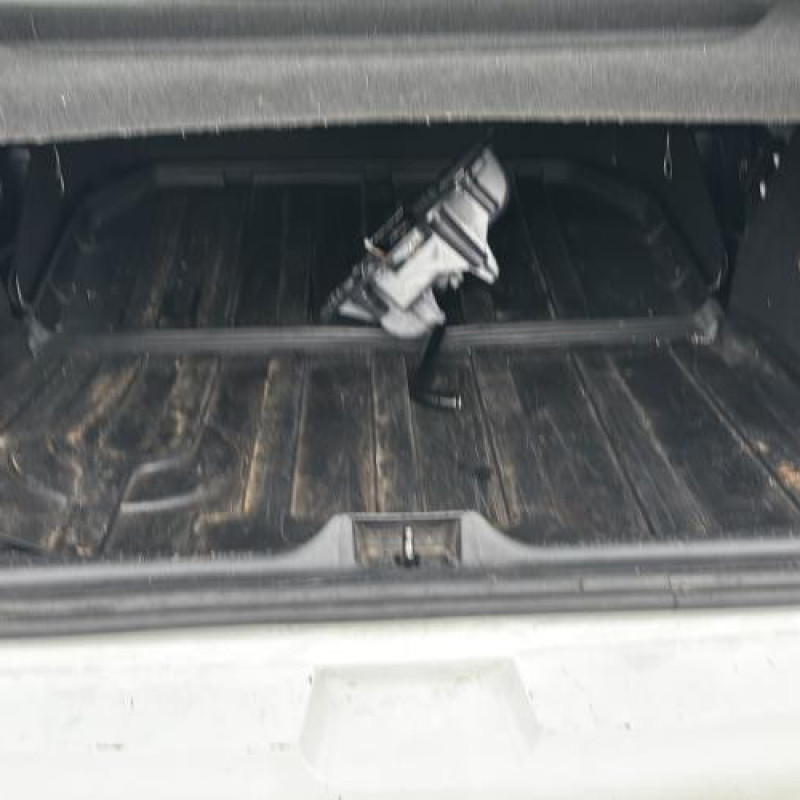 Custode avant gauche (porte) RENAULT CLIO 4 Photo n°9