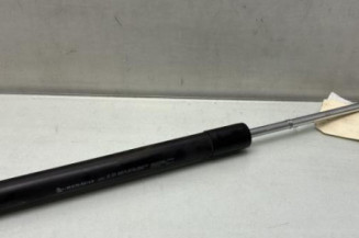 Verin de capot RENAULT CLIO 4 Photo n°1