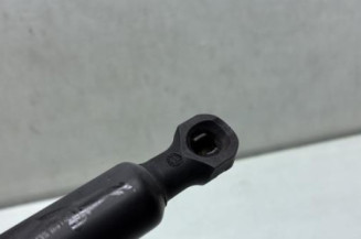 Verin de capot RENAULT CLIO 4