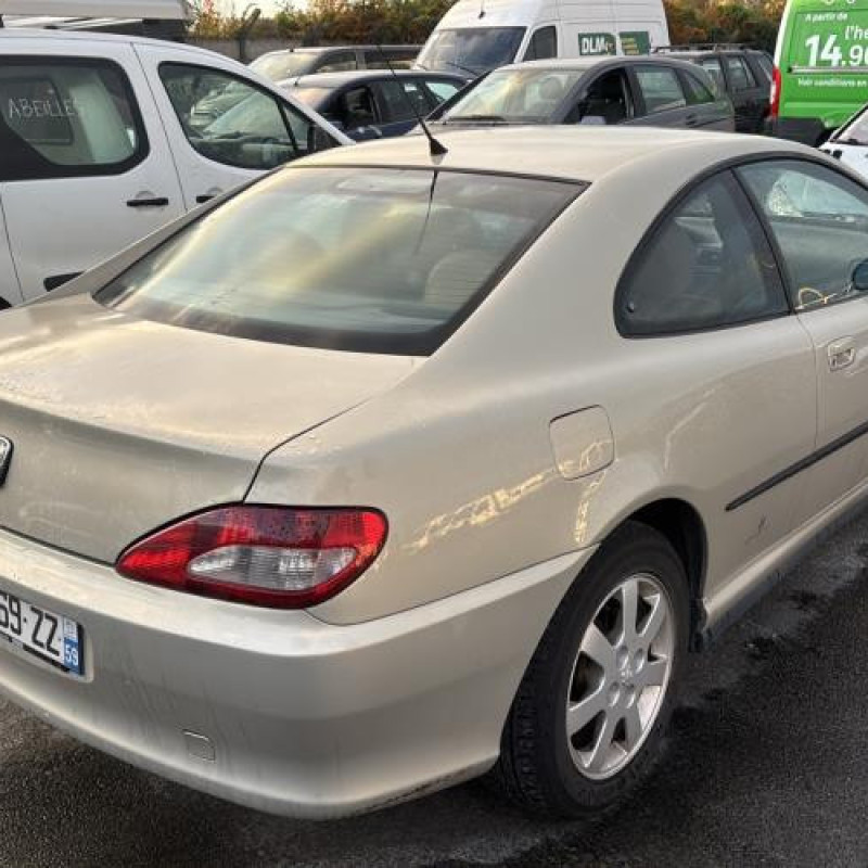 Feu arriere principal gauche (feux) PEUGEOT 406 Photo n°7