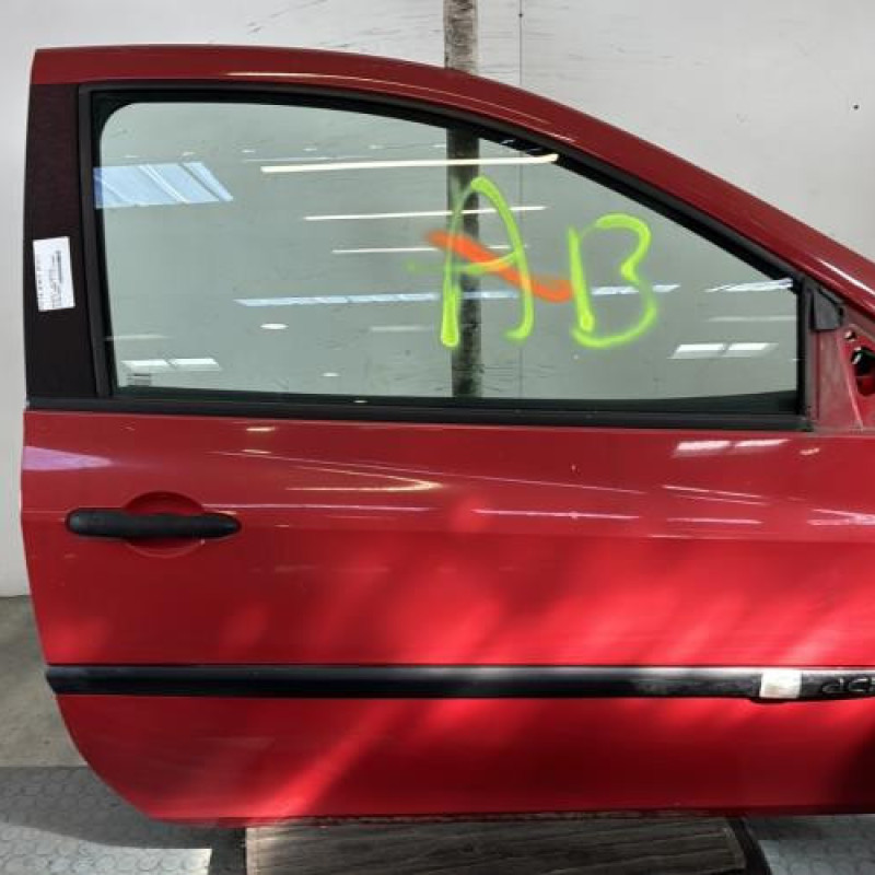 Porte avant droit RENAULT CLIO 3 Photo n°1