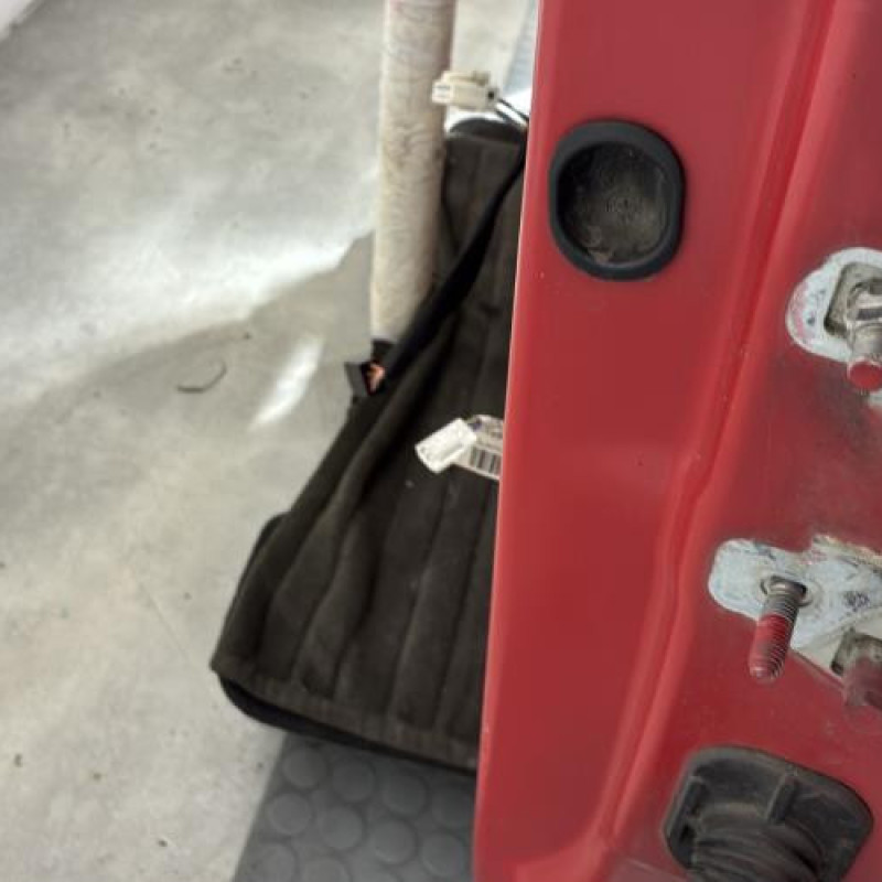 Porte avant gauche RENAULT CLIO 3 Photo n°2