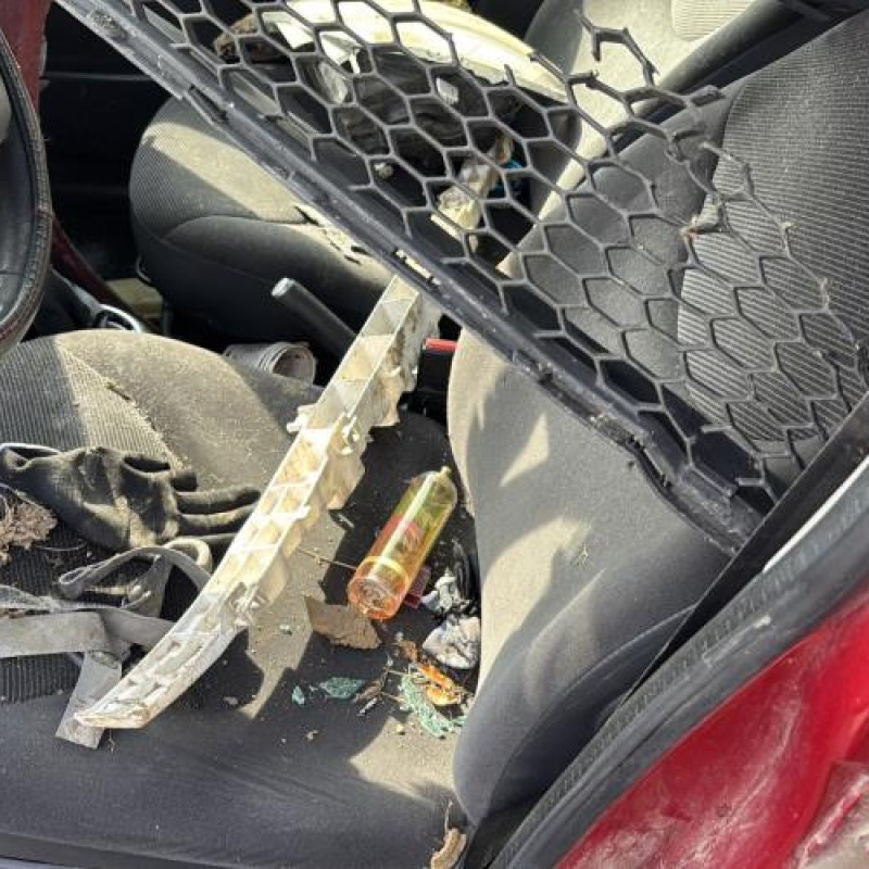 Porte avant droit CITROEN C3 1 Photo n°15