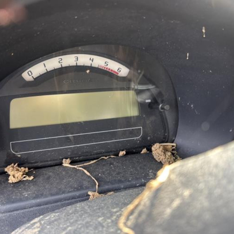 Porte avant droit CITROEN C3 1 Photo n°20