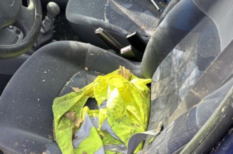 Serrure avant droit RENAULT CLIO 2