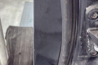 Porte arriere gauche MERCEDES CLASSE B 245