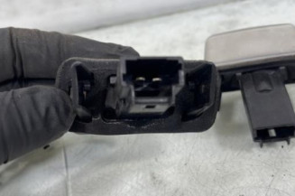 Eclairage de plaque PEUGEOT 207