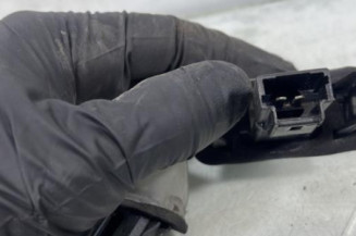 Eclairage de plaque PEUGEOT 207