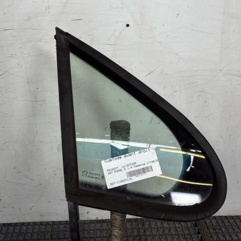 Custode avant droit (porte) PEUGEOT 207 Photo n°1