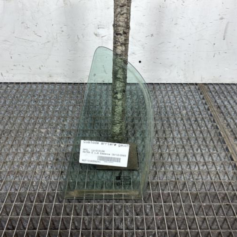 Custode arriere gauche (porte) OPEL ASTRA G Photo n°1