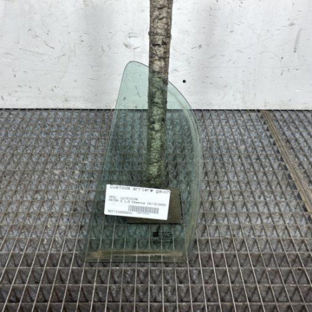 Custode arriere gauche (porte) OPEL ASTRA G Photo n°1