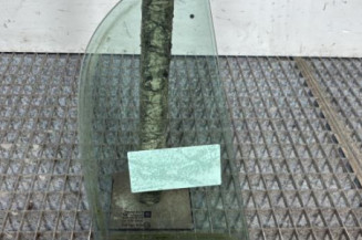 Custode arriere gauche (porte) OPEL ASTRA G