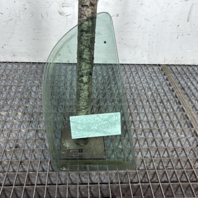 Custode arriere gauche (porte) OPEL ASTRA G Photo n°4