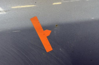 Porte avant gauche OPEL ASTRA G