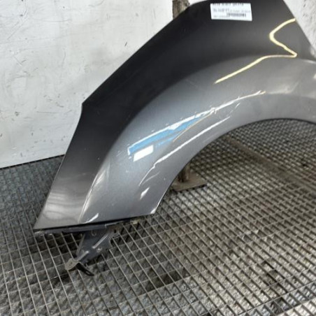 Aile avant gauche DS DS3