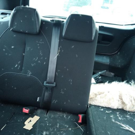 Custode arriere droit DS DS3