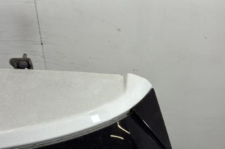 Malle/Hayon arriere DS DS3