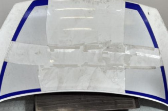 Capot PEUGEOT PARTNER 2 Photo n°1