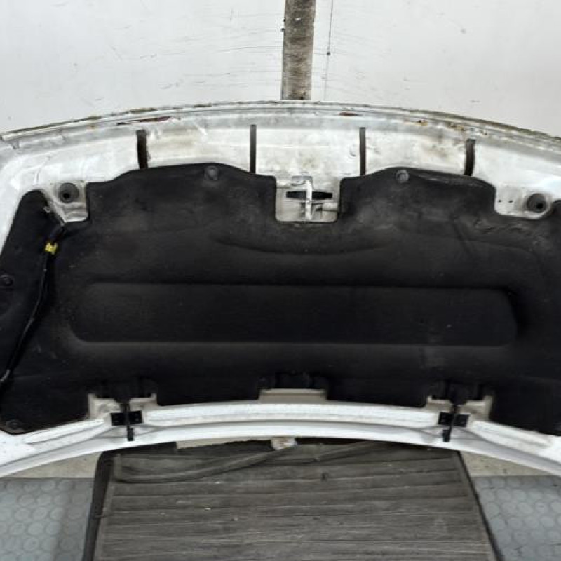 Capot PEUGEOT PARTNER 2 Photo n°4