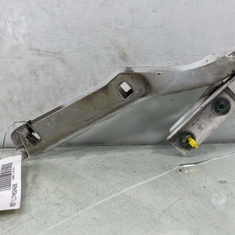 Charniere de capot PEUGEOT PARTNER 2 Photo n°1