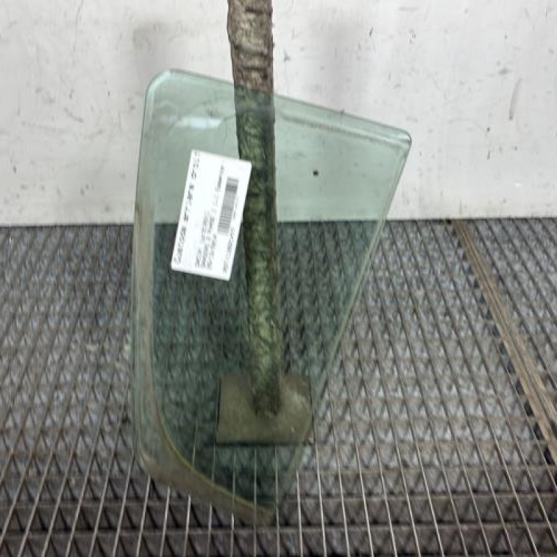 Custode arriere droit (porte) DACIA SANDERO 2 Photo n°1