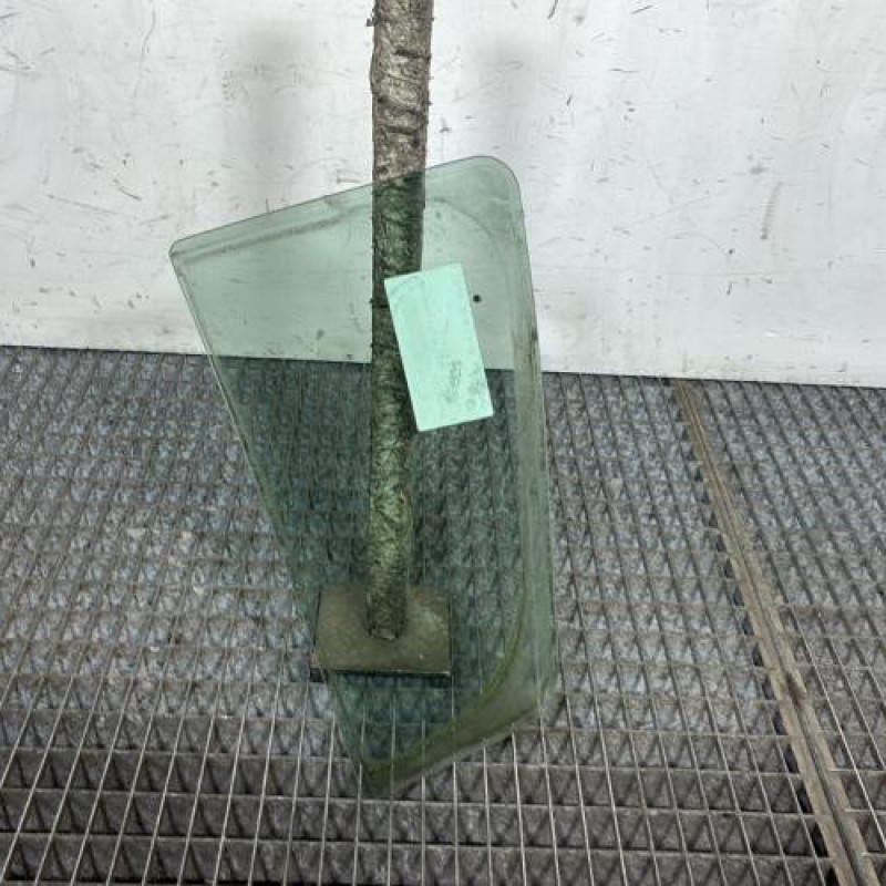 Custode arriere droit (porte) DACIA SANDERO 2 Photo n°4