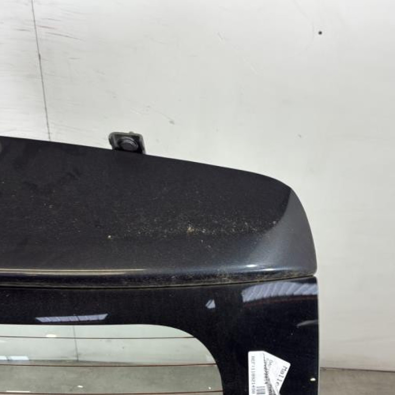 Malle/Hayon arriere DACIA SANDERO 2 Photo n°3