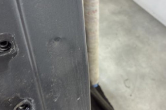 Porte arriere droit DACIA SANDERO 2