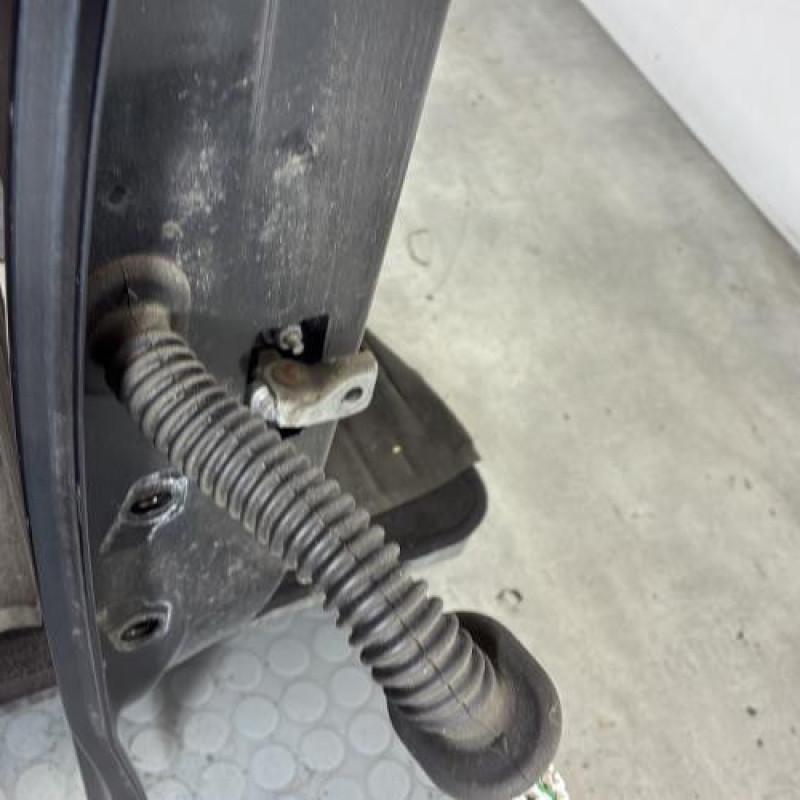 Porte arriere droit DACIA SANDERO 2 Photo n°3