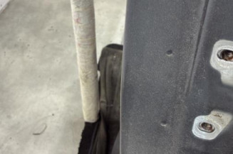 Porte arriere gauche DACIA SANDERO 2