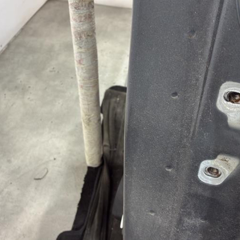 Porte arriere gauche DACIA SANDERO 2 Photo n°3