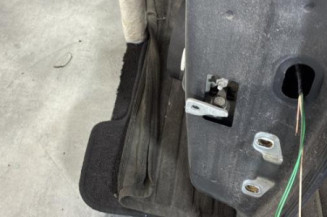 Porte arriere gauche DACIA SANDERO 2