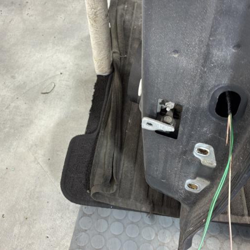 Porte arriere gauche DACIA SANDERO 2 Photo n°4